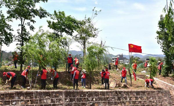 干部職工到龍川江清理河道。南華縣融媒體中心供圖