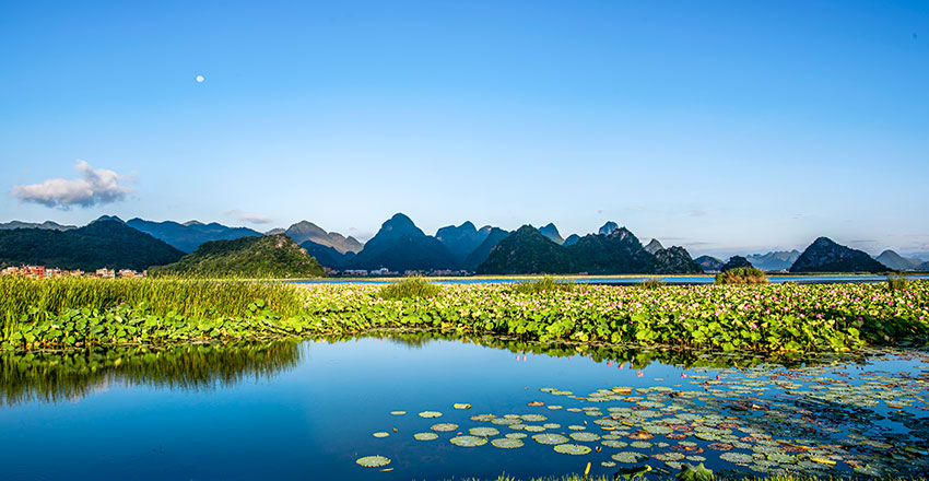 丘北縣普者黑湖。文山州委宣傳部供圖