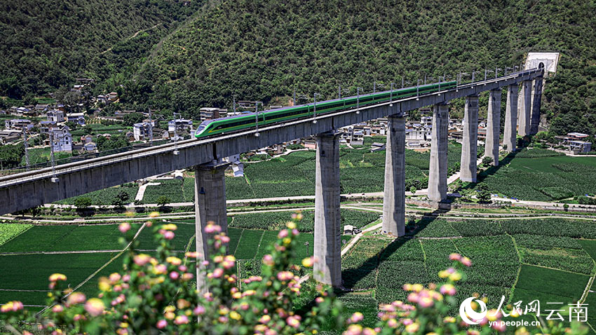 “綠巨人”通過(guò)西山寺大橋。周濤攝