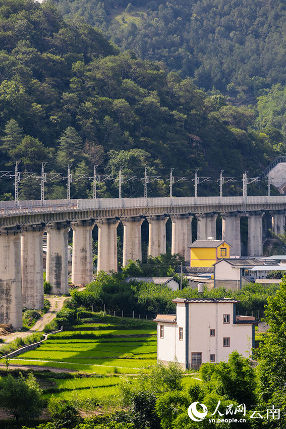 大理漾濞三號(hào)大橋。何呂鵬攝