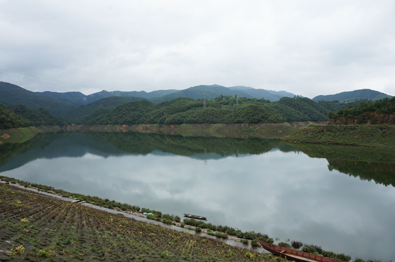 陸良縣蓮花田水庫水源地植被良好、水質(zhì)良好。