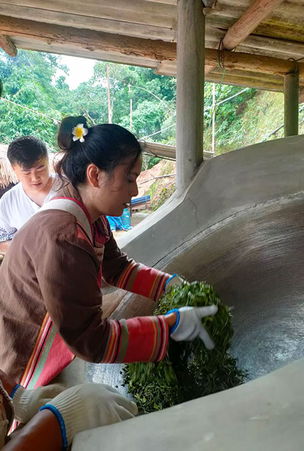 村民在制茶。景洪市融媒體中心供圖