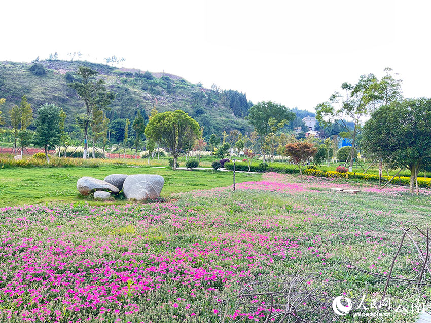 陽(yáng)山生態(tài)公園。人民網(wǎng)記者-程浩攝-(2)