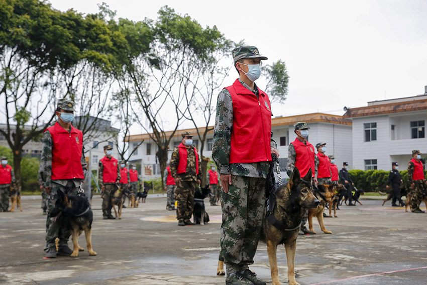 戍邊警犬出征儀式現(xiàn)場(chǎng)。保山市公安局供圖