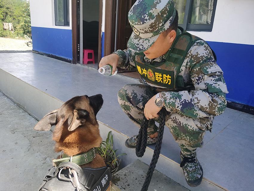 戍邊警犬滇王與聯(lián)防員親密互動(dòng)。騰沖市公安局供圖