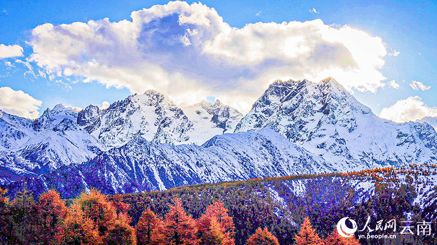 深秋遇初雪，云南白馬雪山秋冬美景同框出鏡。德欽縣融媒體中心供圖