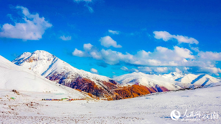 深秋遇初雪，云南白馬雪山秋冬美景同框出鏡。德欽縣融媒體中心供圖