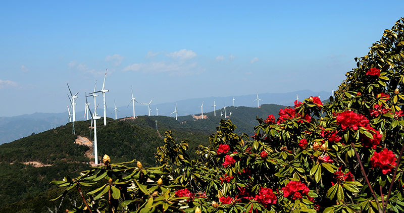 華能野貓山風(fēng)電場。龔忠政-攝