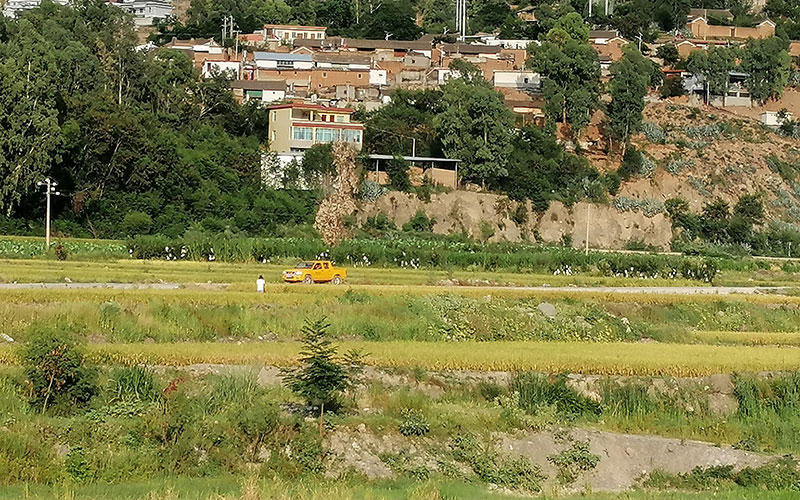 在村間開展線路巡維的供電“小黃車”。（杜明彥-攝）