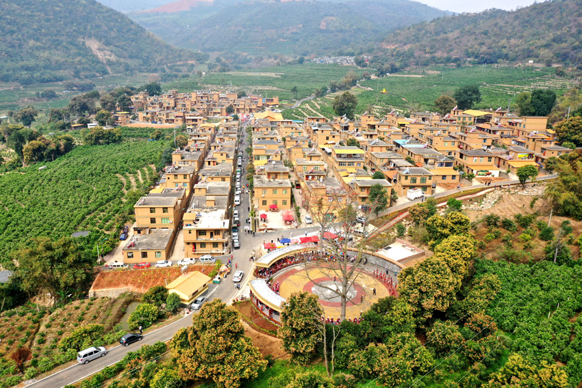 新寨村景觀。張明坤攝