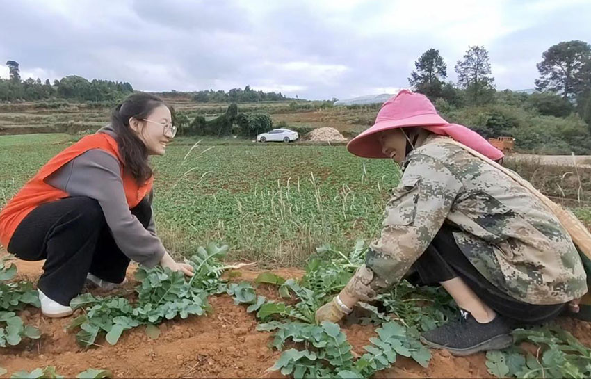 黨員郭子瑜在地里與村民一起勞動(dòng)。王紅梅攝