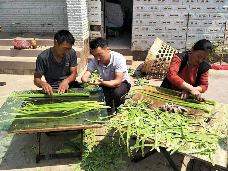 周自靈（中）正在教種植戶切貢菜。受訪者供圖