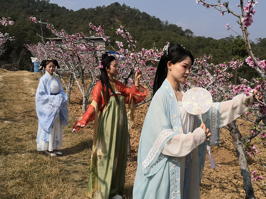 “滇中桃源”桃花開。祿豐市融媒體中心供圖