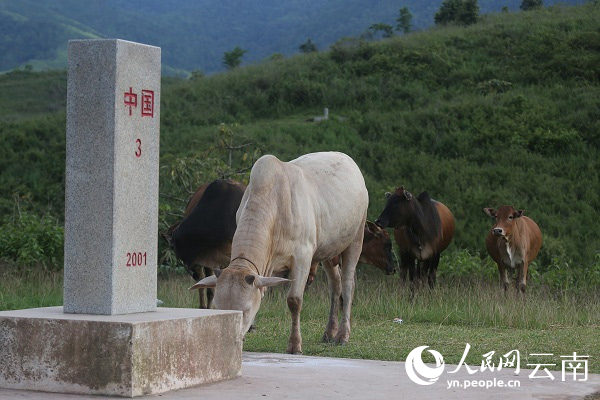 中越3號界碑。江城縣融媒體中心供圖