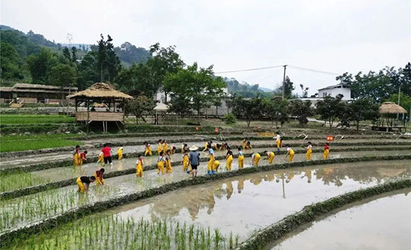 大關(guān)永康：“一粒種子的旅行”開(kāi)啟鄉村旅游之路