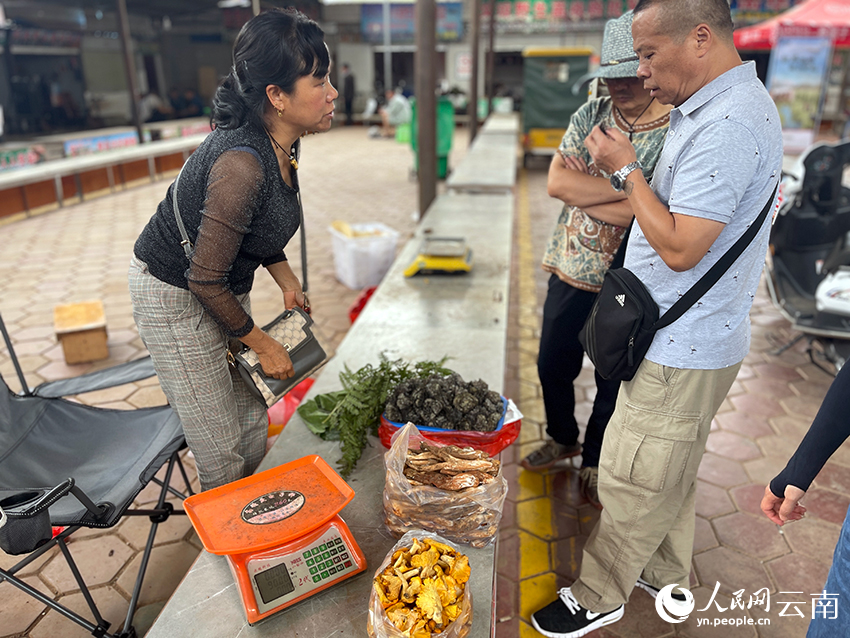 “野生菌王國”的菌子上市了！人民網(wǎng)記者 程浩攝