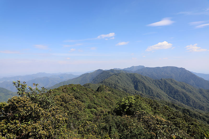 干壩子大山的森林景觀。楊廷榮攝