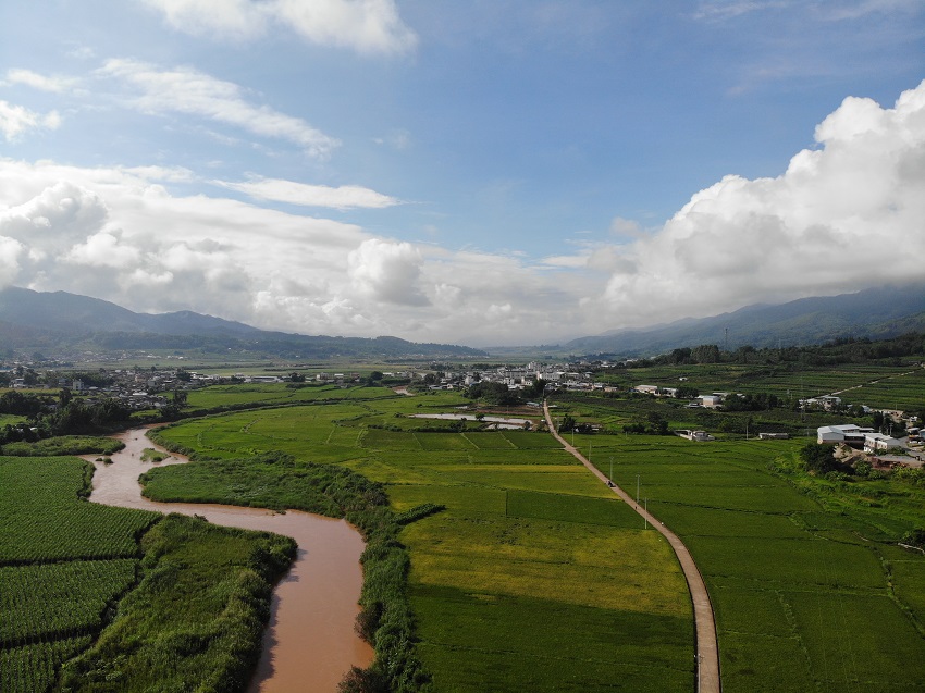 稻田。景東縣融媒體中心供圖