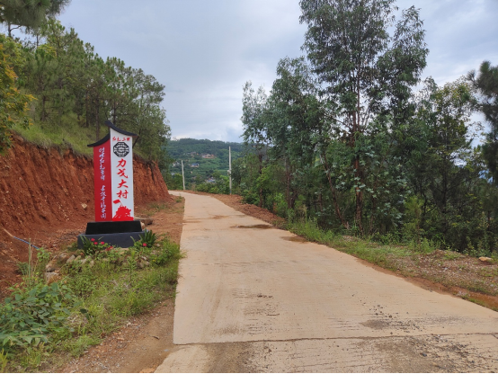 力戈村委會力戈村民小組道路硬化后的入村路。鄒陽攝