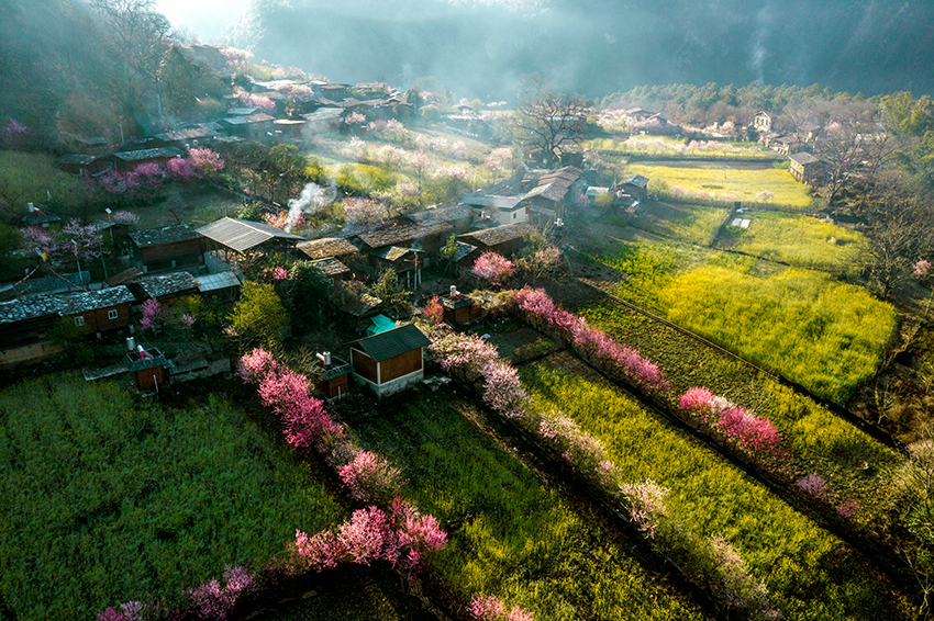 桃花島新貌。王松攝