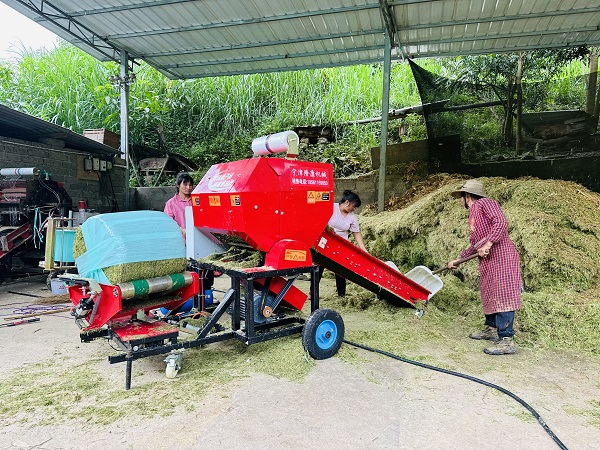 陶明波家的青貯加工機(jī)器。鎮(zhèn)沅縣融媒體中心供圖