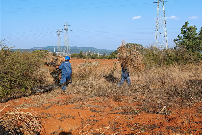 曲靖供電局輸電所人員對220kV圭沙雙回線等線路的通道及周邊可燃物進行清理及協(xié)調(diào)。魏冬明攝