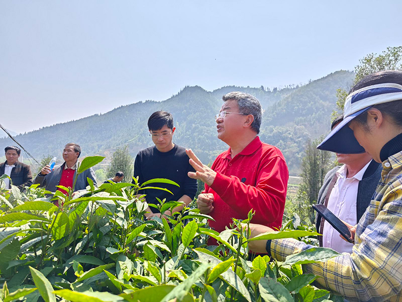 活動(dòng)現(xiàn)場。