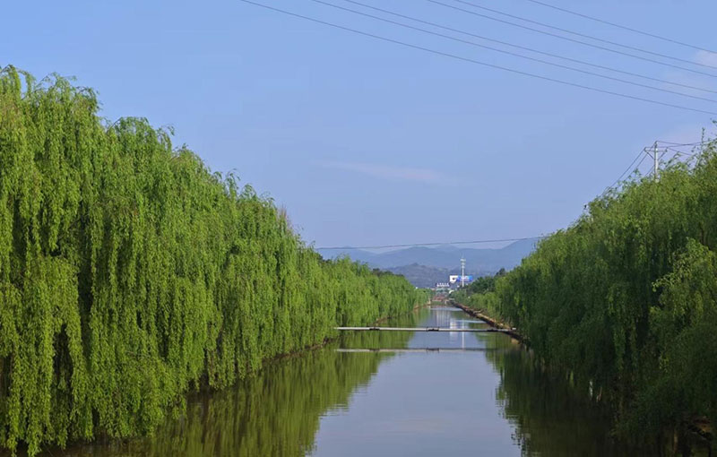 岸綠景美的龍川江。南華縣委宣傳部供圖