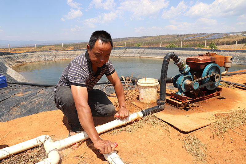 馮禹富正在擰緊抽水機(jī)水閥。李重慶攝