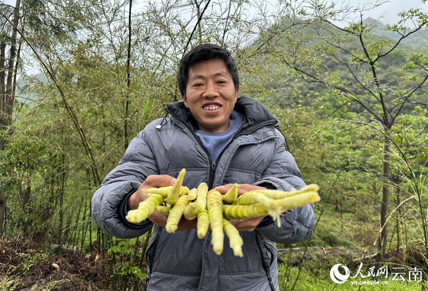 采筍季多陰雨，天氣雖冷，但看到筇竹大豐收，羅坤恒捧著(zhù)筇竹筍喜笑顏開(kāi)。人民網(wǎng)記者 符皓攝