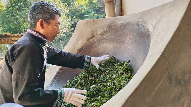 馬永俊正在炒茶。周曉鵑攝