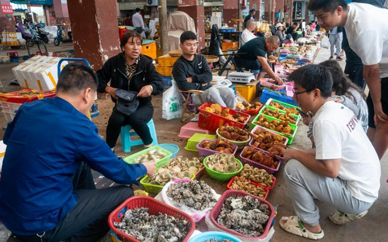 云南野生菌大量上市