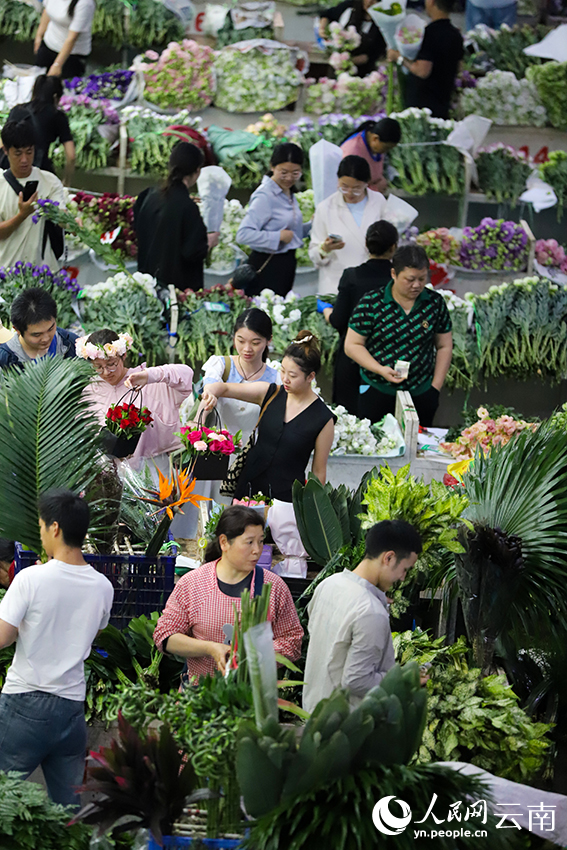 游客在昆明斗南花卉市場(chǎng)選購鮮花。人民網(wǎng)記者 李發(fā)興攝