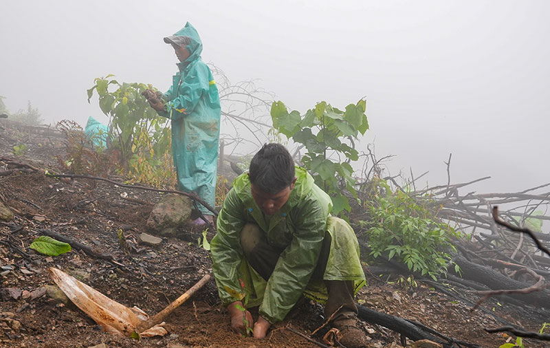 村民正在種植樹(shù)苗。奚川江攝