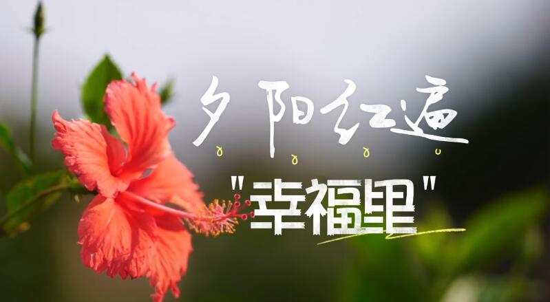 楚雄永仁：夕陽(yáng)紅遍“幸福里”