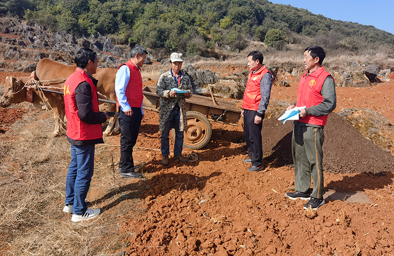 鎮(zhèn)村干部到田間地頭走訪群眾。