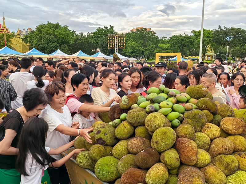 【1】芒市水果分享現(xiàn)場(chǎng)氣氛熱烈，市民、游客紛紛前來(lái)領(lǐng)取水果。楊幫慶-攝