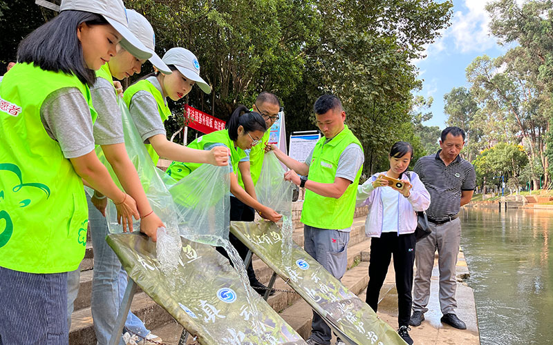 圖為滇池金線鲃魚苗放流現(xiàn)場。昆明市滇池管理局供圖