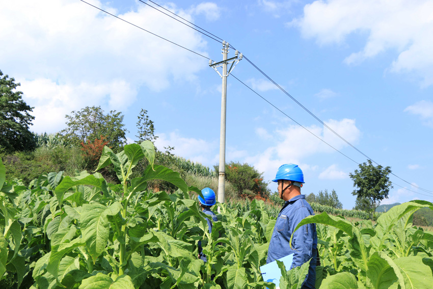 會澤供電部門加大對供電線路的巡查力度，及時發(fā)現(xiàn)并消除潛在的安全隱患。