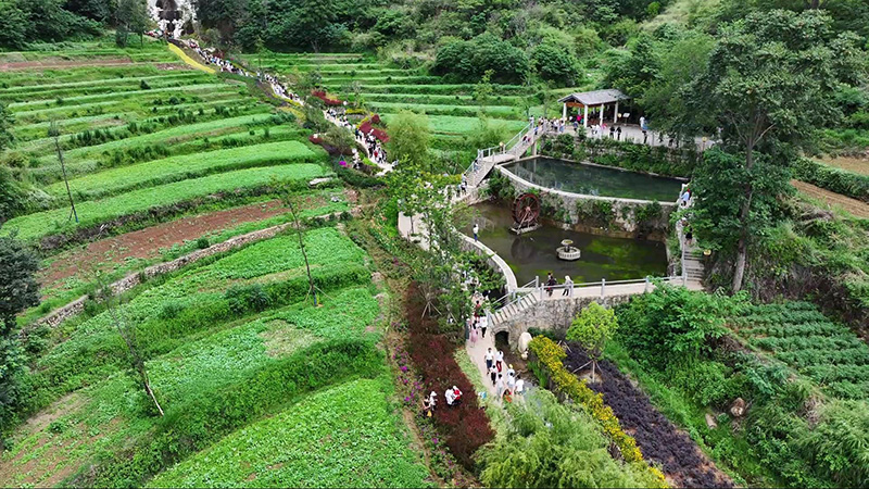 古城村游覽步道-彌渡縣融媒體中心供圖