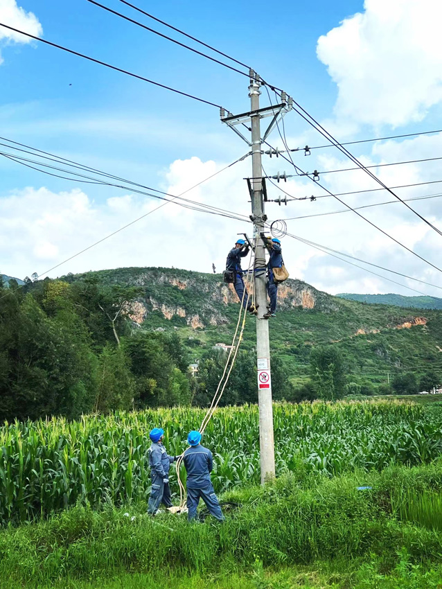 富源供電局工作人員開展線路隱患治理。陳小果攝