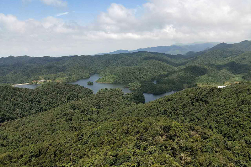 茫茫哀牢山。景東縣融媒體中心供圖