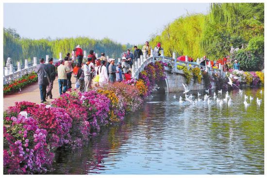 昆明大觀公園供圖